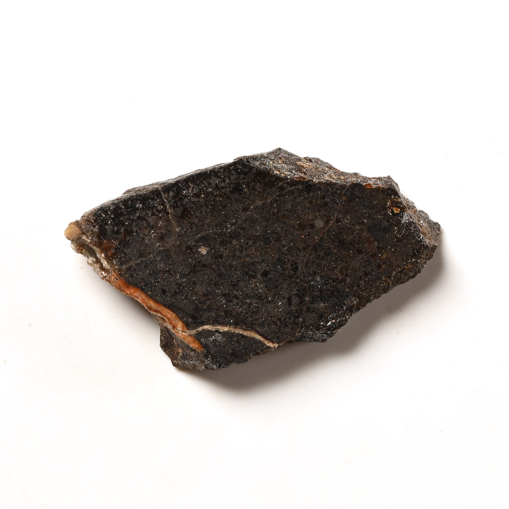 Natural History - Angrite NWA 2999 Meteorite Slice